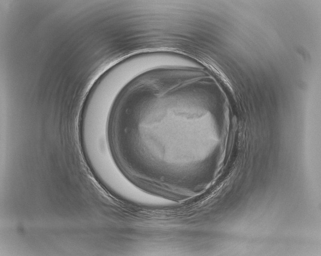 X0000115060789200911161608