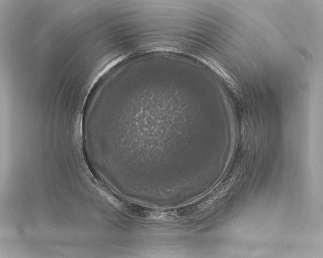 X0000115060790200911161608