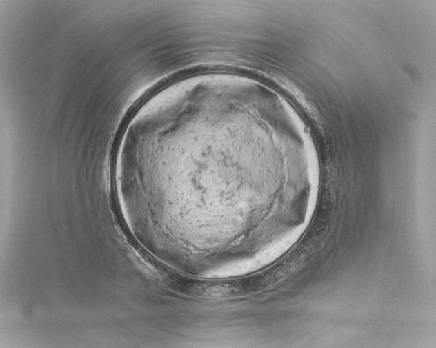 X0000115060791200911161608