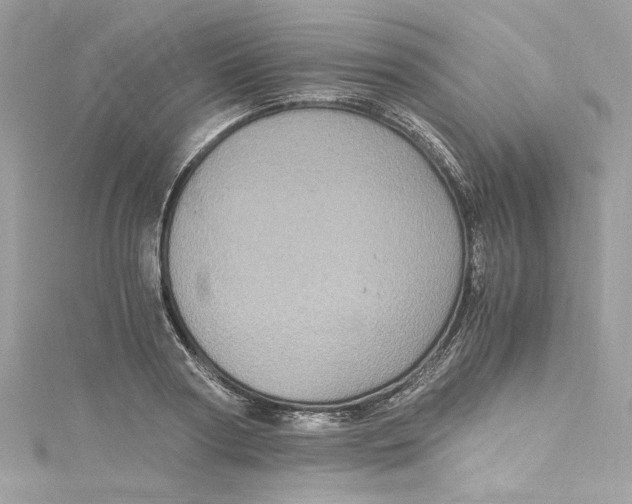 X0000115060794200911161608