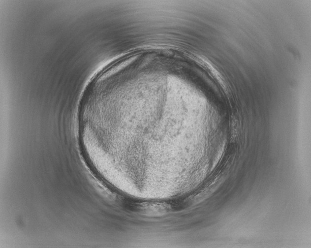 X0000115060795200911161607