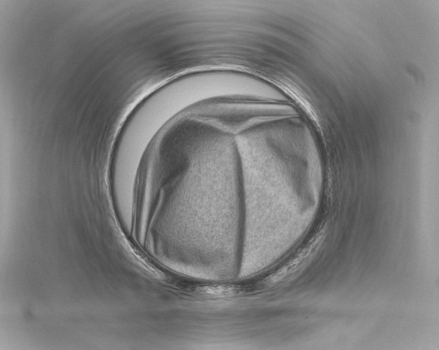 X0000115060797200911161607