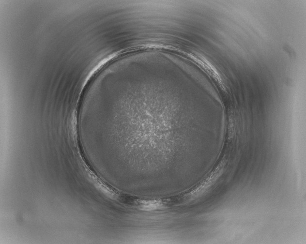 X0000115060798200911161607