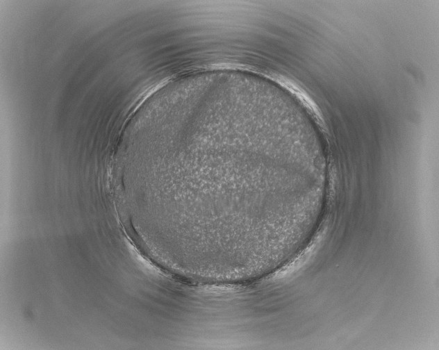 X0000115060801200911161607