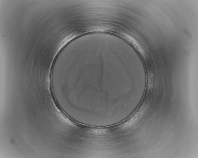 X0000115060802200911161607