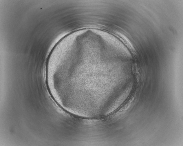 X0000115060804200911161607