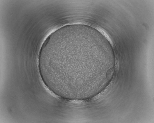 X0000115060805200911161607