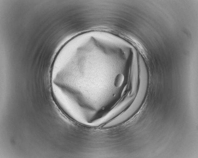 X0000115060808200911161607