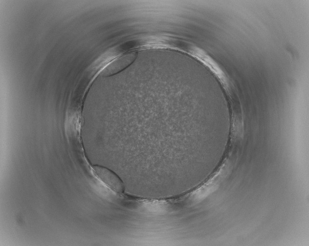 X0000115060809200911161607