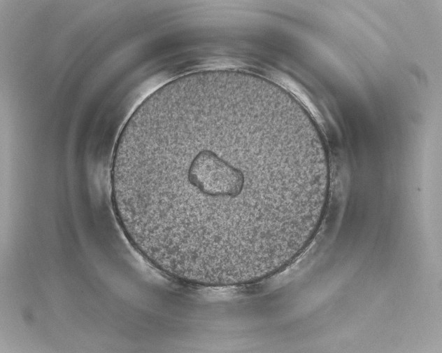 X0000115060810200911161607