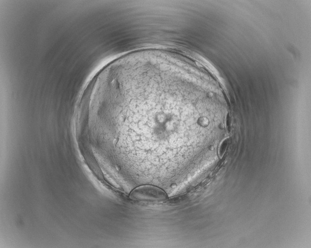 X0000115060811200911161607