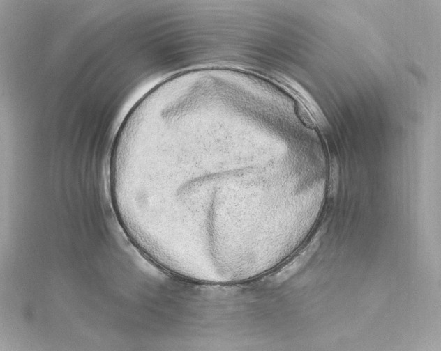 X0000115060812200911161607