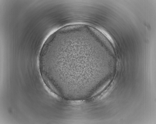 X0000115060813200911161607