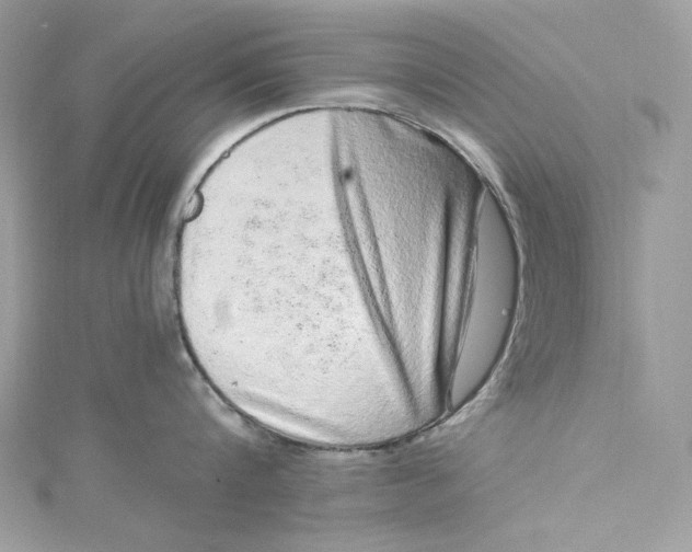 X0000115060816200911161607