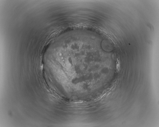 X0000115060819200911161607