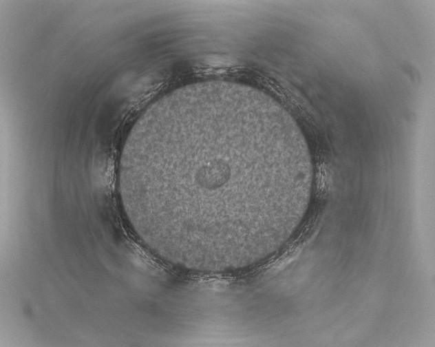 X0000115060820200911161607