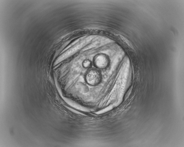 X0000115060821200911161607