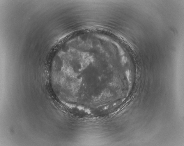 X0000115060822200911161607