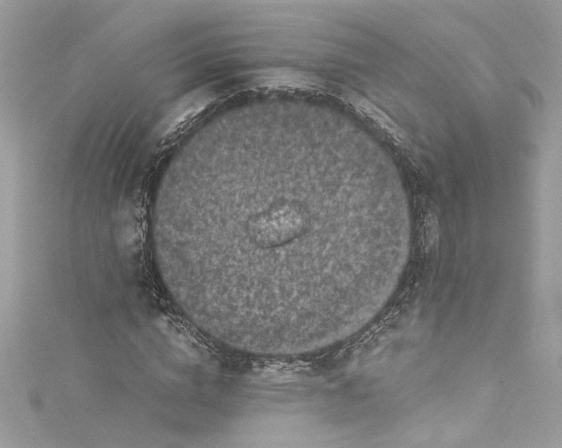 X0000115060824200911161607