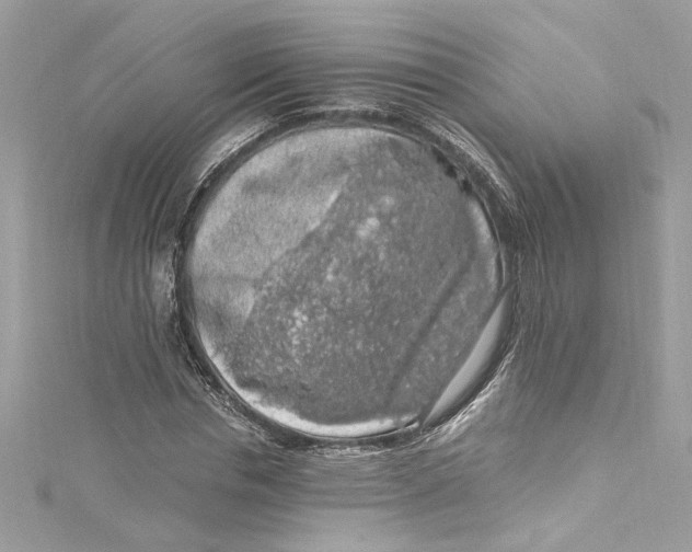 X0000115060826200911161607