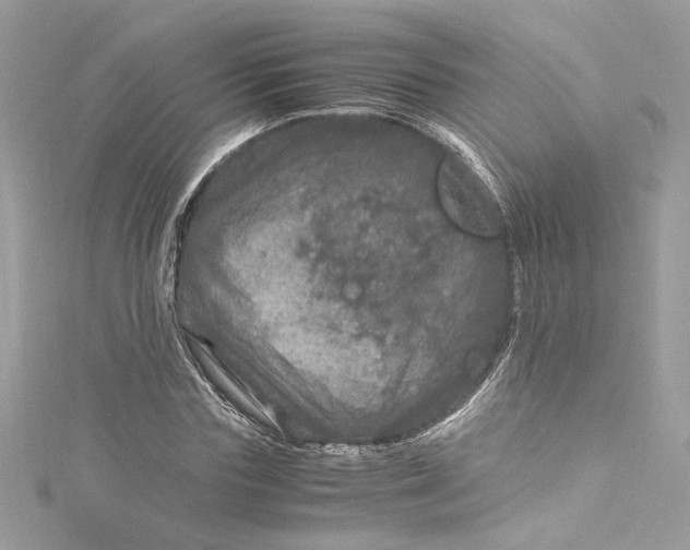 X0000115060827200911161607