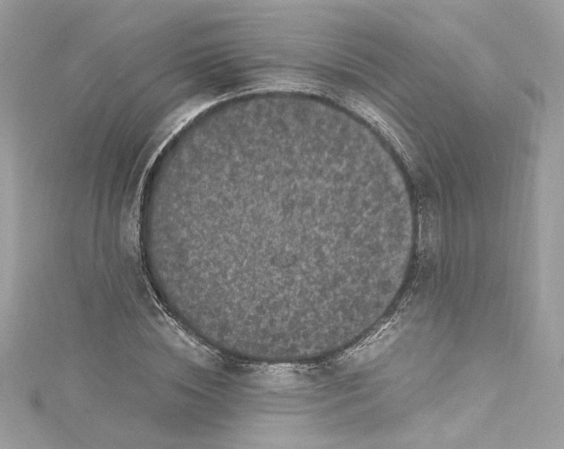 X0000115060828200911161607