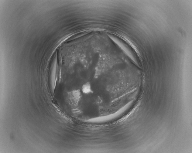 X0000115060829200911161607