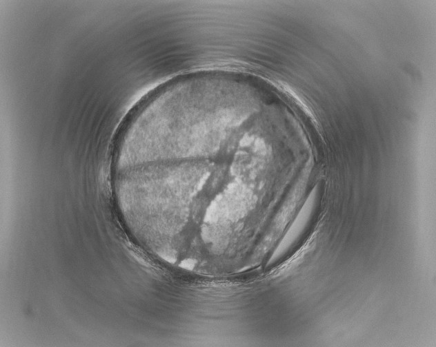 X0000115060830200911161607