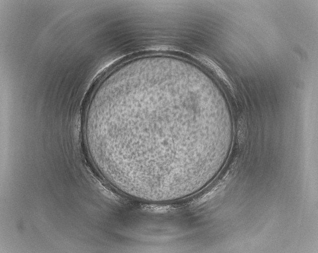 X0000115060831200911161607