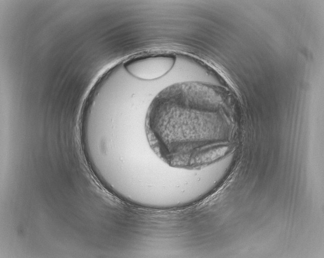 X0000115060832200911161607