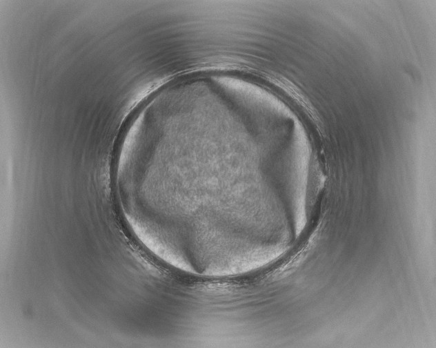 X0000115060834200911161607