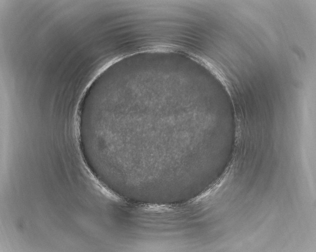 X0000115060835200911161607