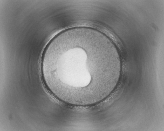 X0000115060836200911161607