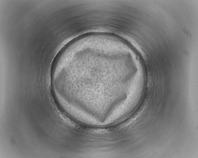 X0000115060837200911161607