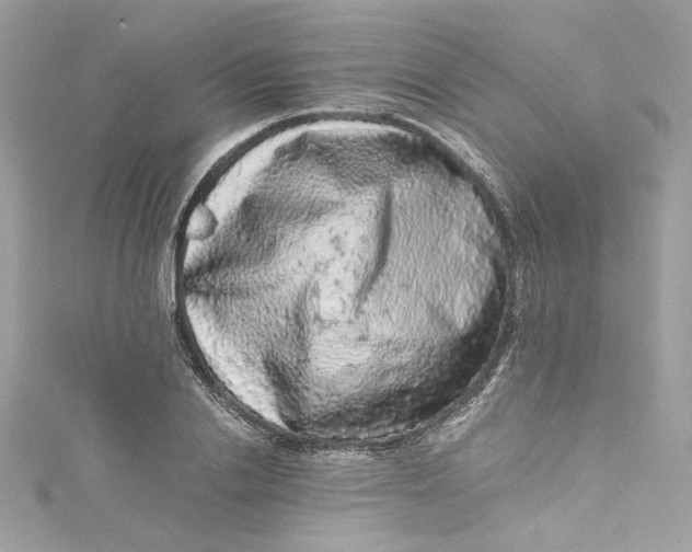 X0000115060838200911161607