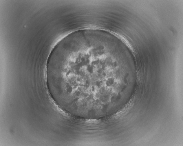 X0000115060839200911161607