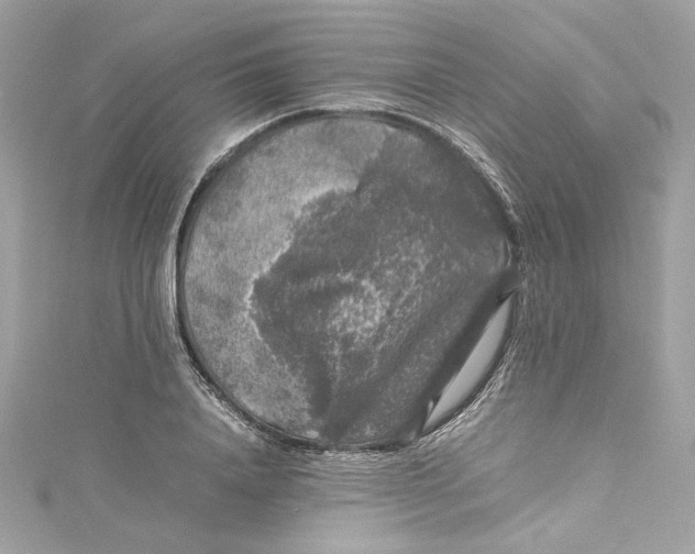 X0000115060840200911161607