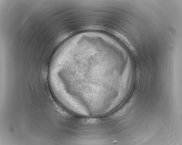 X0000115060841200911161607