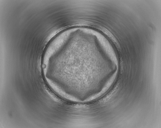 X0000115060842200911161607