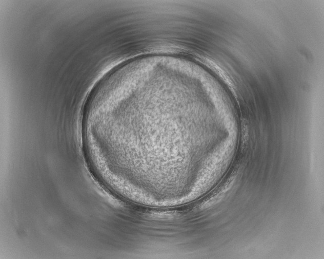 X0000115060843200911161607