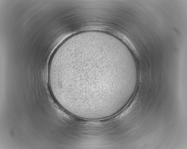 X0000115060844200911161607