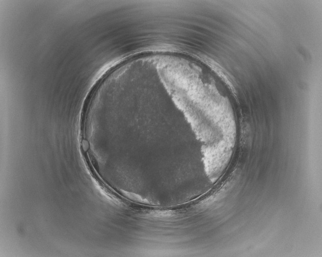 X0000115060845200911161607