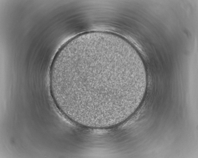 X0000115060848200911161607