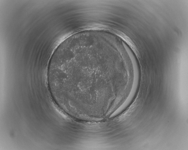 X0000115060850200911161607