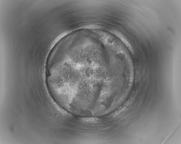 X0000115060853200911161607