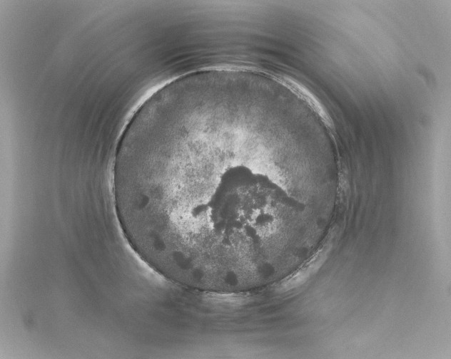 X0000115060855200911161607