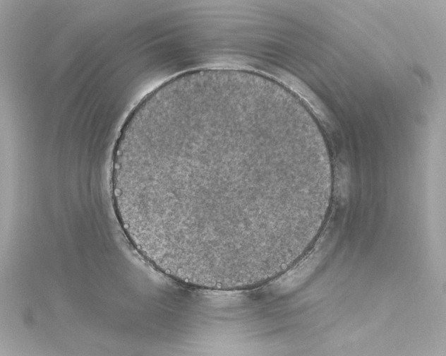 X0000115060856200911161607