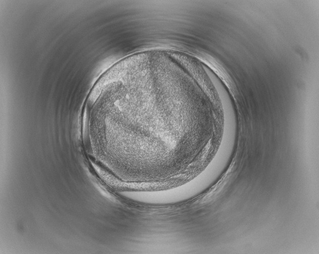 X0000115060858200911161607