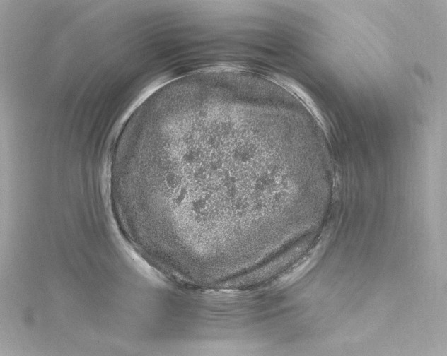 X0000115060859200911161607