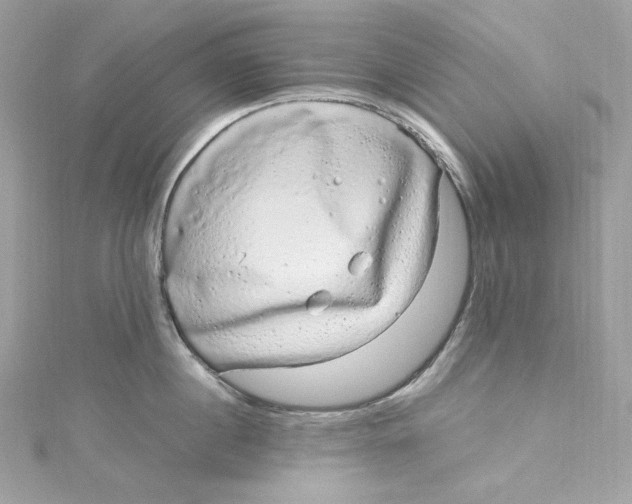 X0000115060860200911161607